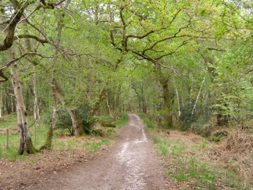 Roydon Downs Reserve